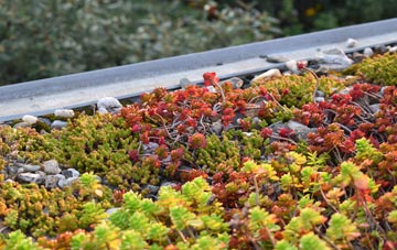 the cost of Ballyreagh green roof installation