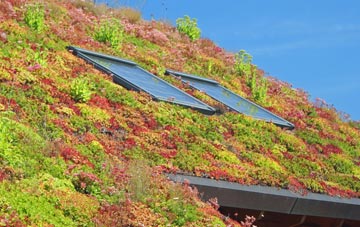 Ballyreagh living roof systems