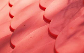 Ballyreagh plastic roof costs