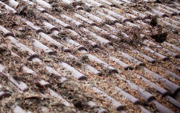 Ballyreagh roof cleaning companies